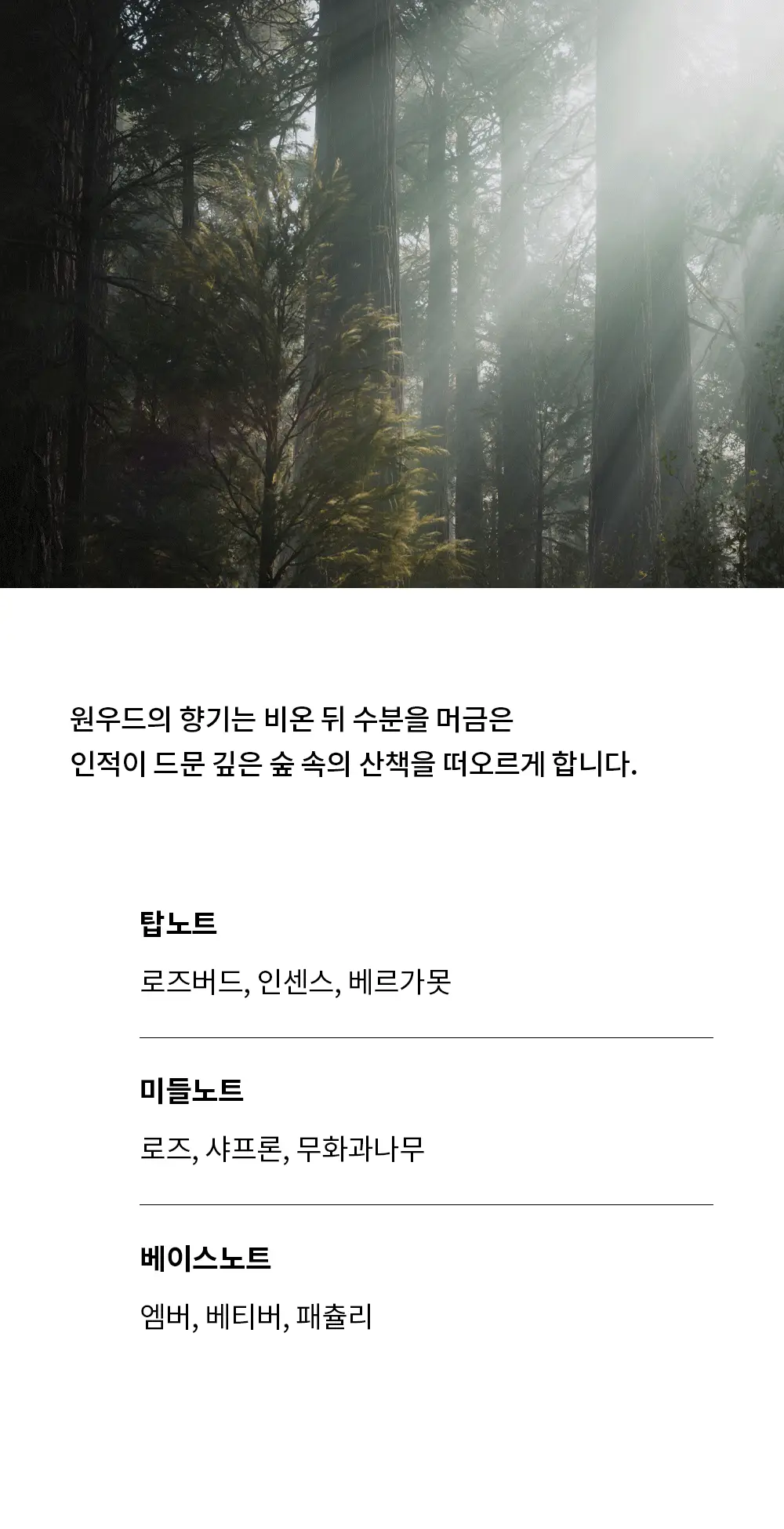 [고보습/무화과우디]그라펜 타투 퍼퓸 원우드 핸드크림 50ml 상세페이지 4